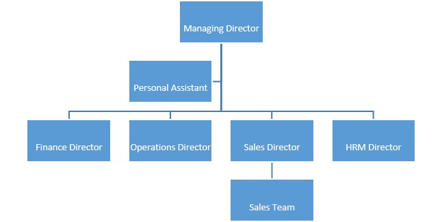 Figure 1: Company Structure Diagram